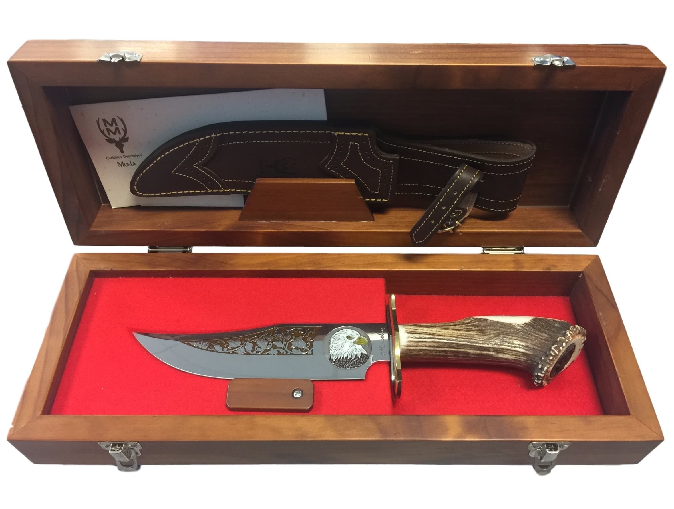 Hand Etched Knife with Limited Edition Bald Eagle Engraving and Presentation Case