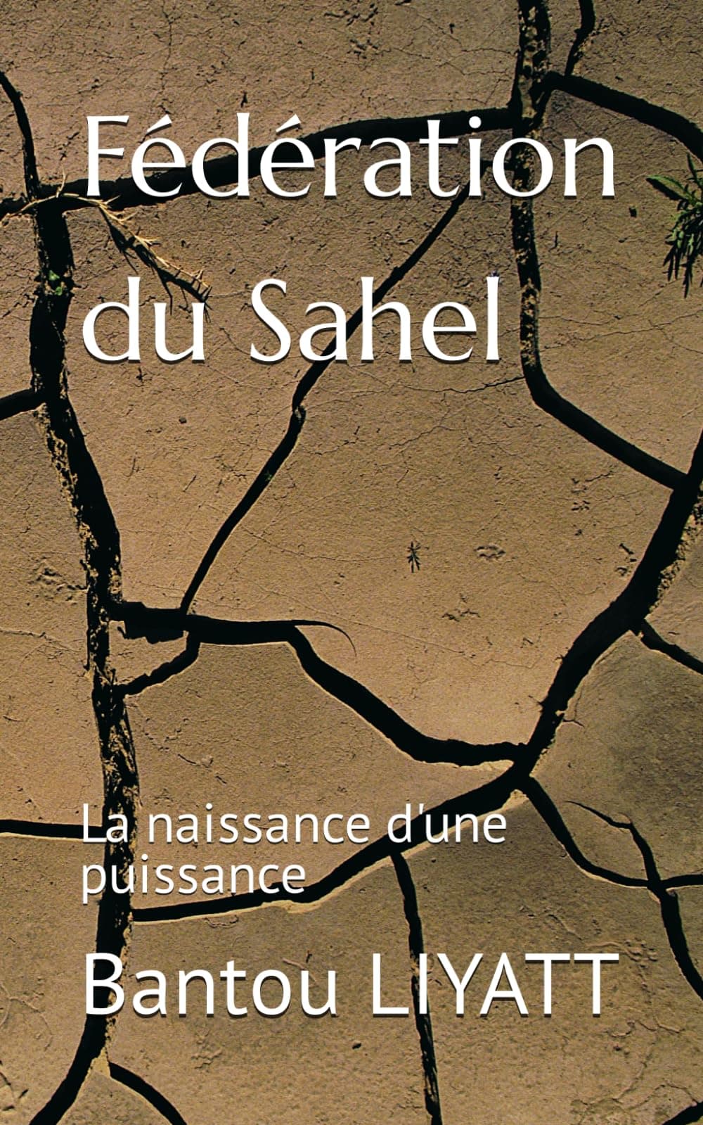 Fédération du Sahel: La naissance d'une puissance