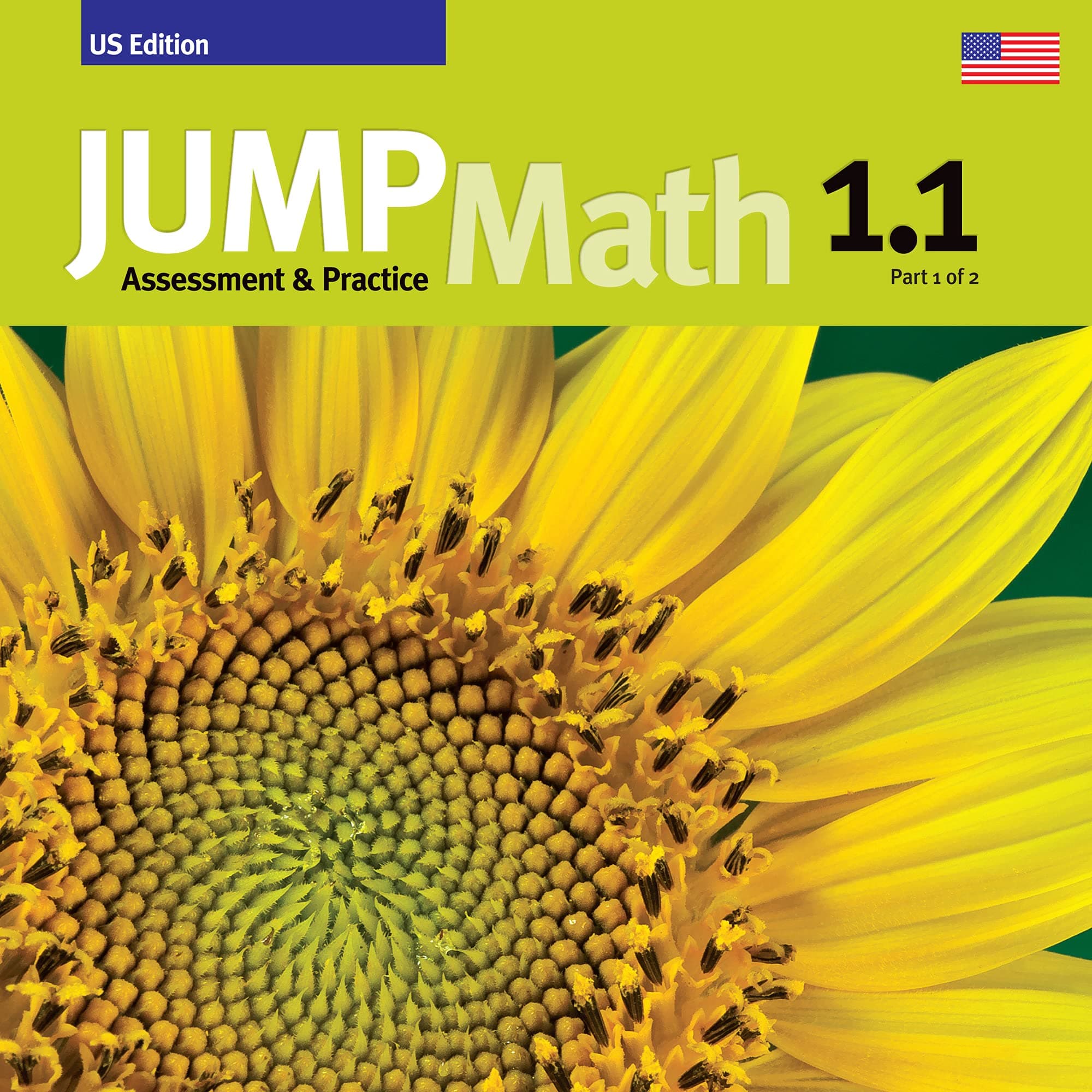 Jump Math Ap Book 1.1