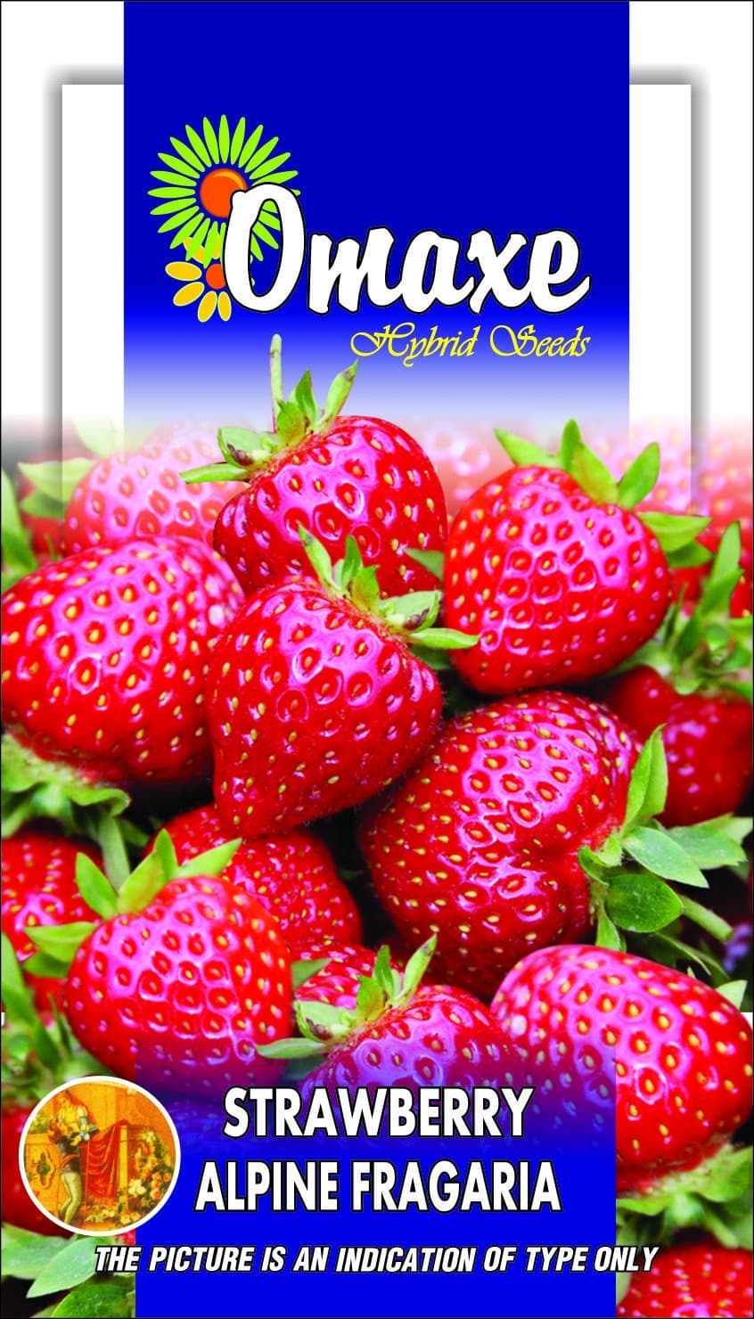 Strawberry Fruit 30 Seeds Pack (Omaxe Brand)
