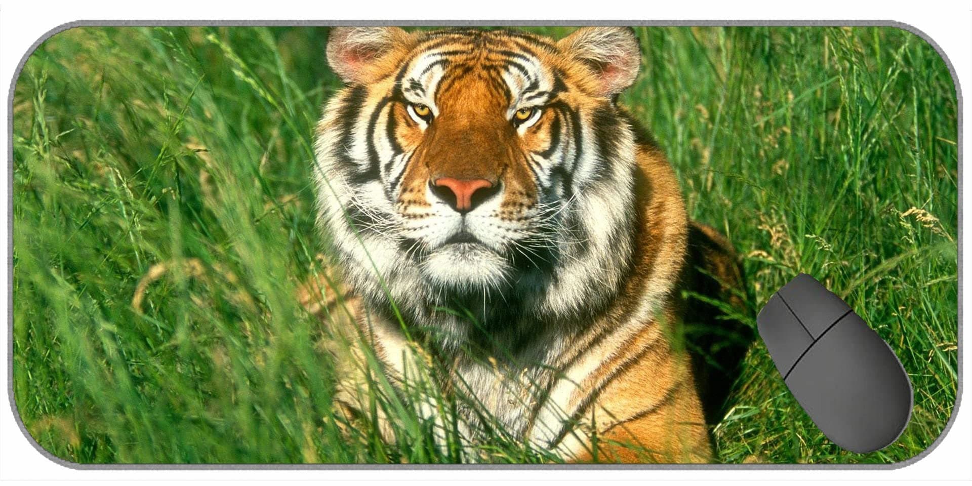 Large Gaming Mouse Pad with Edge Stitching,Tiger Grass Big Cat Lying 40501 Mousepad XXL for Game