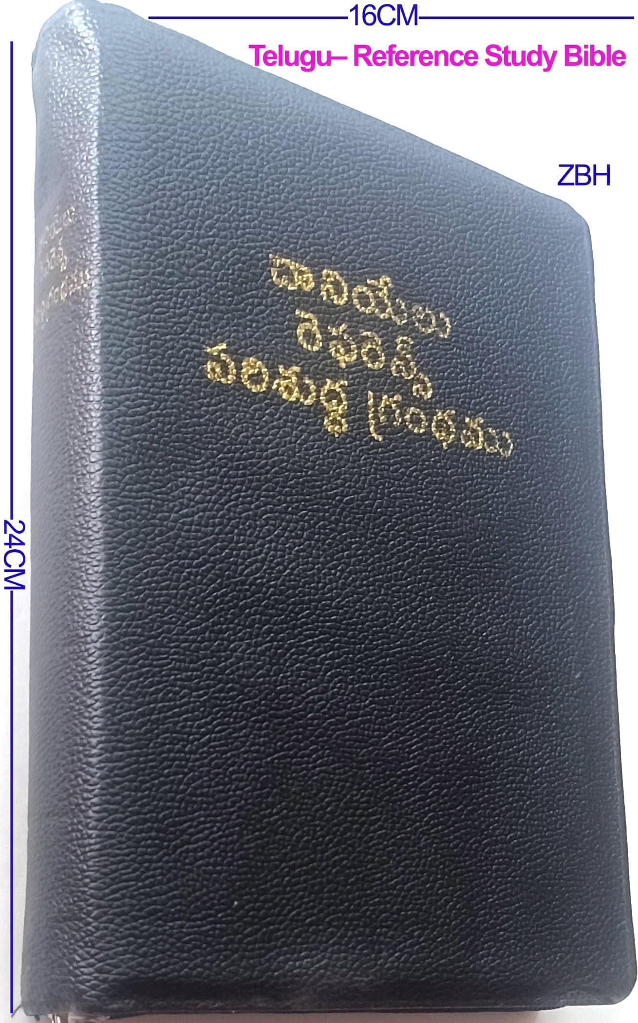 Holy Bible Telugu– Centre references Study Bible/ Daniel publishing Leather Bound – 31 December 2023