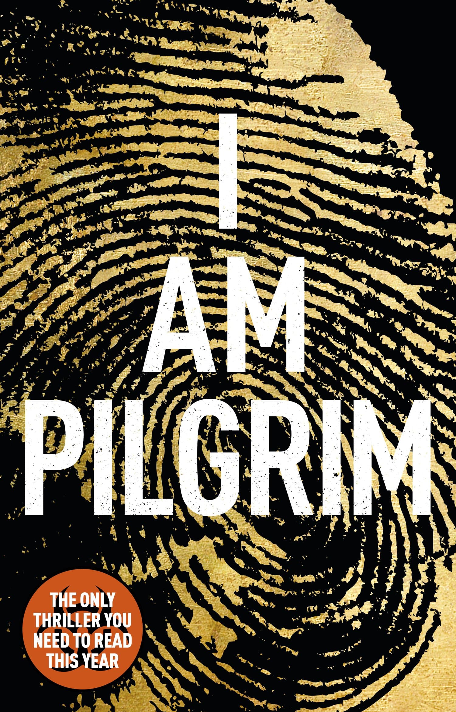 I Am Pilgrim by Terry Hayes - Paperback