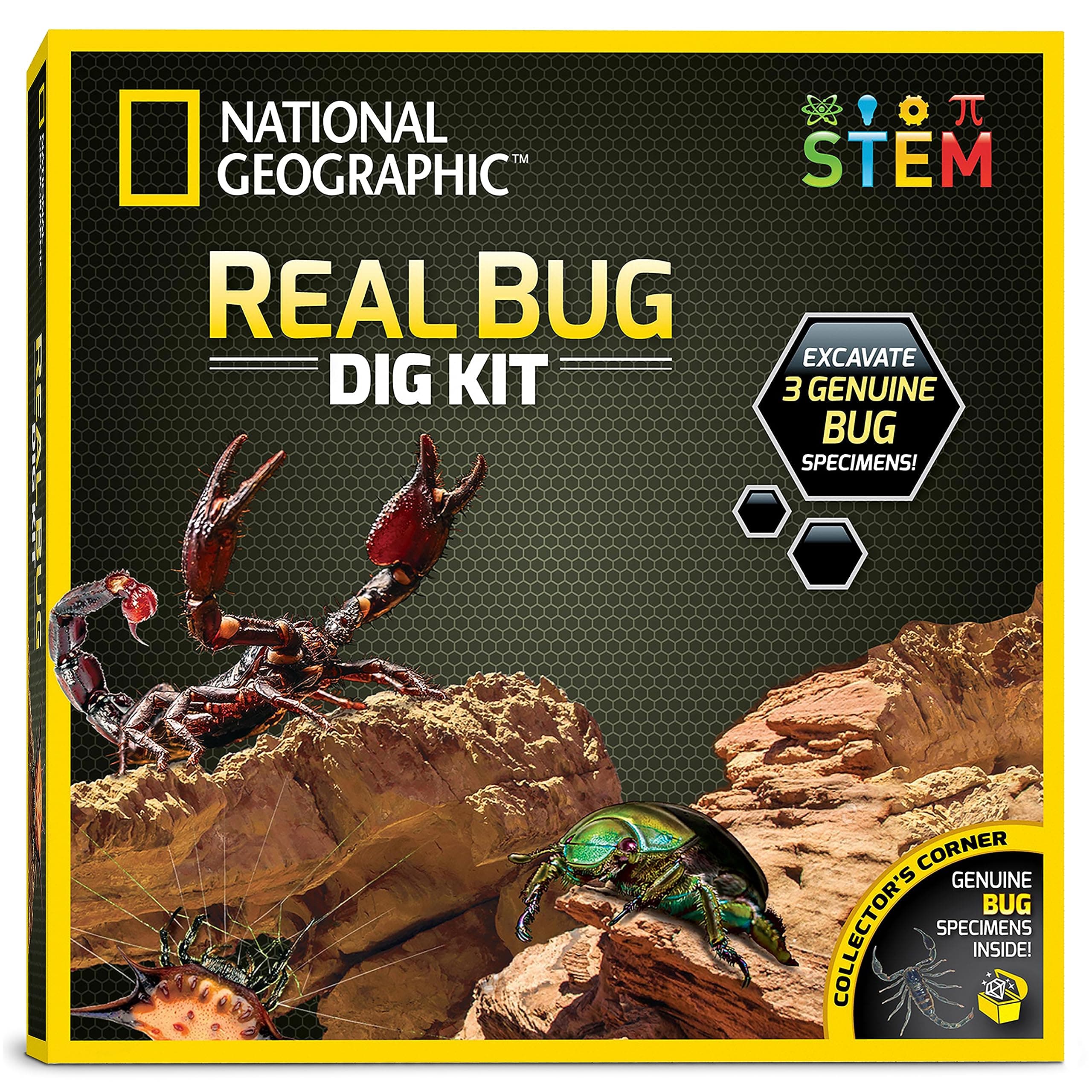 Blue Marble National Geographic Real Bug Dig Kit