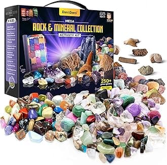 Dan&Darci Rock Collection for Kids - Includes 250+ Bulk Rocks, Gemstones & Crystals + Genuine Fossils and Minerals - 2 Lbs. - Geology Earth Science STEM Toys Activity, Gifts for Boys & Girls Ages 6+