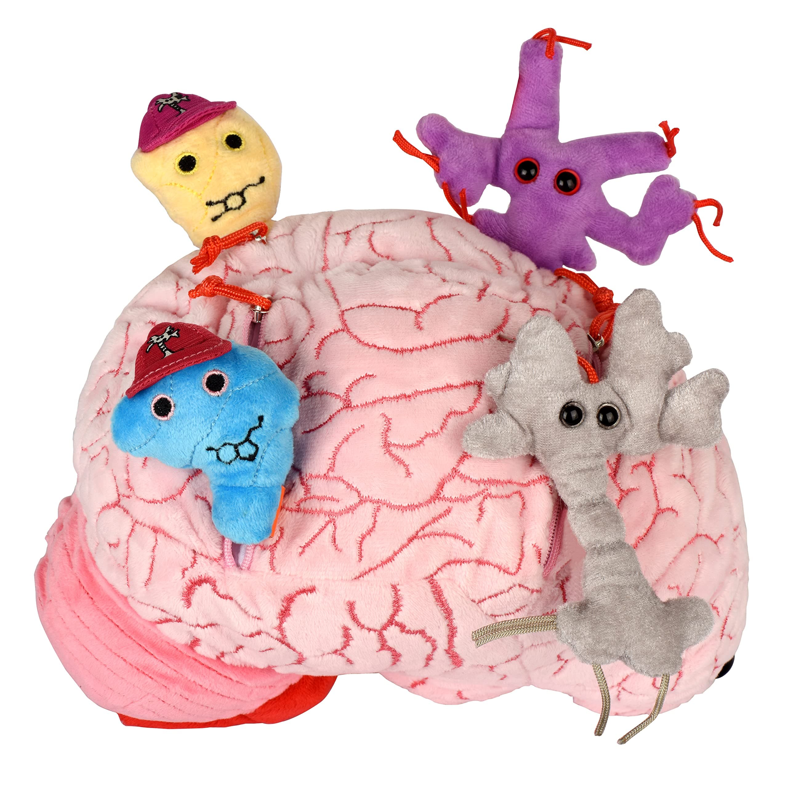 GIANTmicrobes Deluxe 9.5" Brain with Neuron Plush, Brain Model Anatomy, Psychology Gifts for Students, Medical Student Gift, Therapist Office Decor, Anatomy Models, Neuroscience Gifts, Neurology Gift