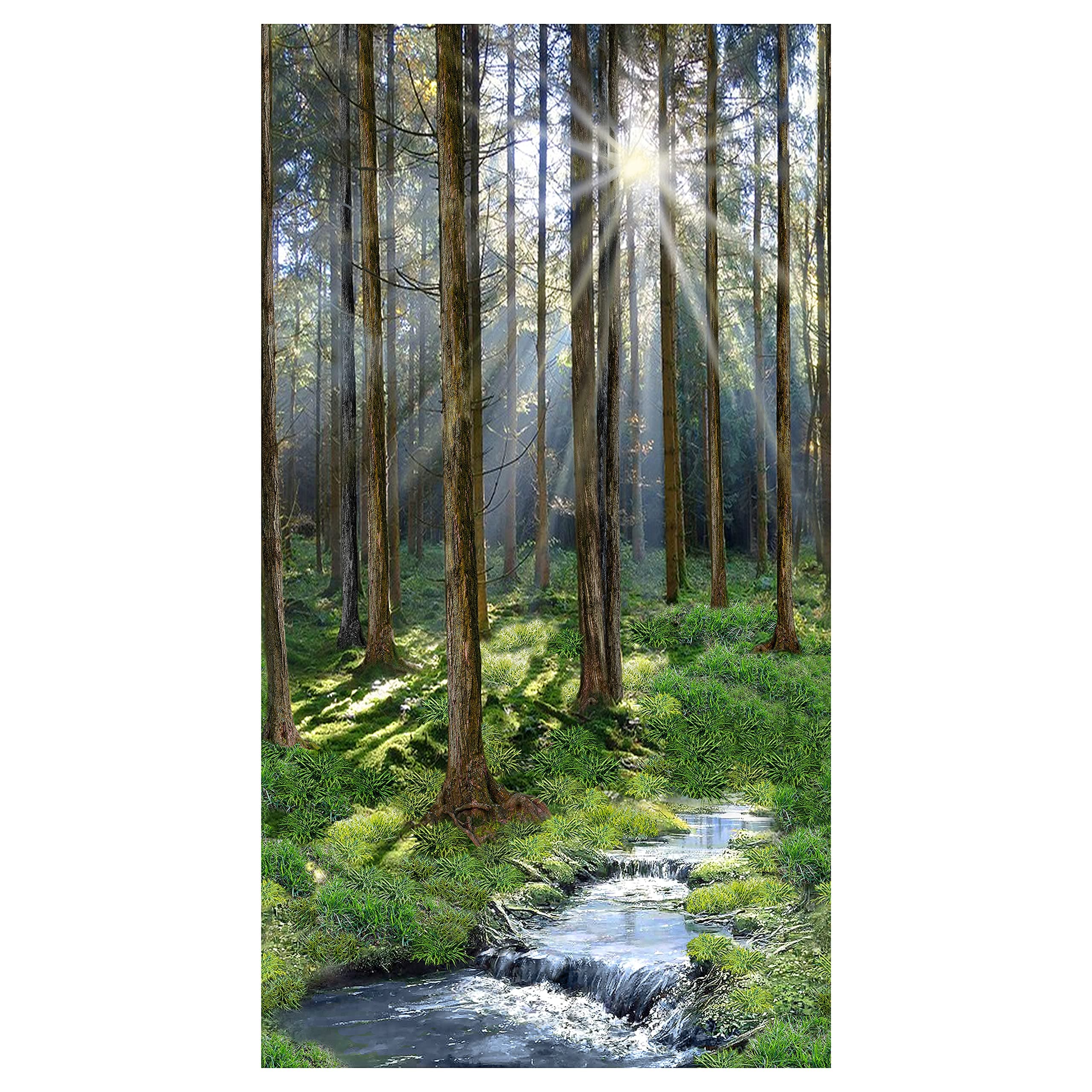 Timeless Treasures Morning Hike Sunny Forest 24'' Panel Fabric, Multi
