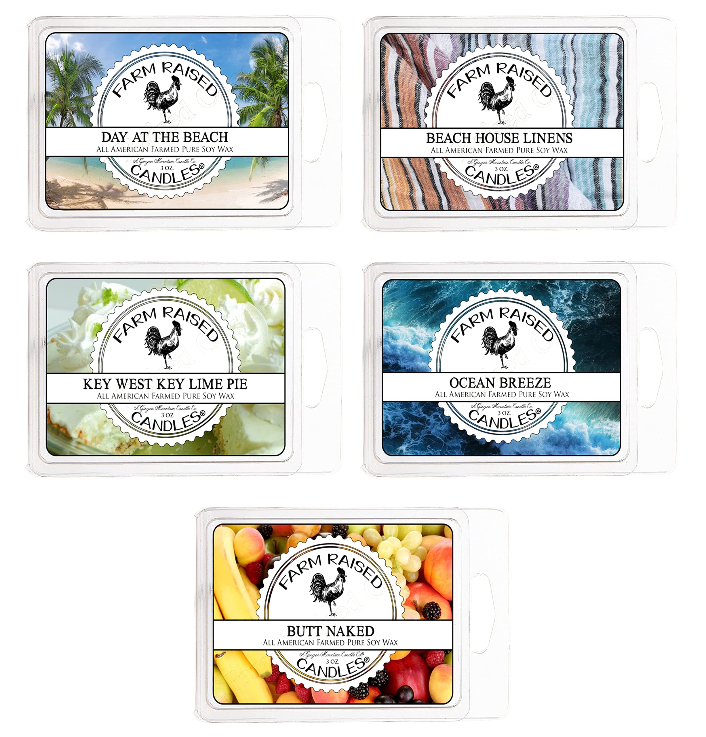 Summer Wax Melts Beach Pack - Farm Raised Candles - Assorted Variety 5 Pack - 30 Wax Cubes - 100% Plant Based Soy Wax Melts - Coconut Wax Melts Ocean Wax Melts Key West Key Lime Wax Warmer Melts