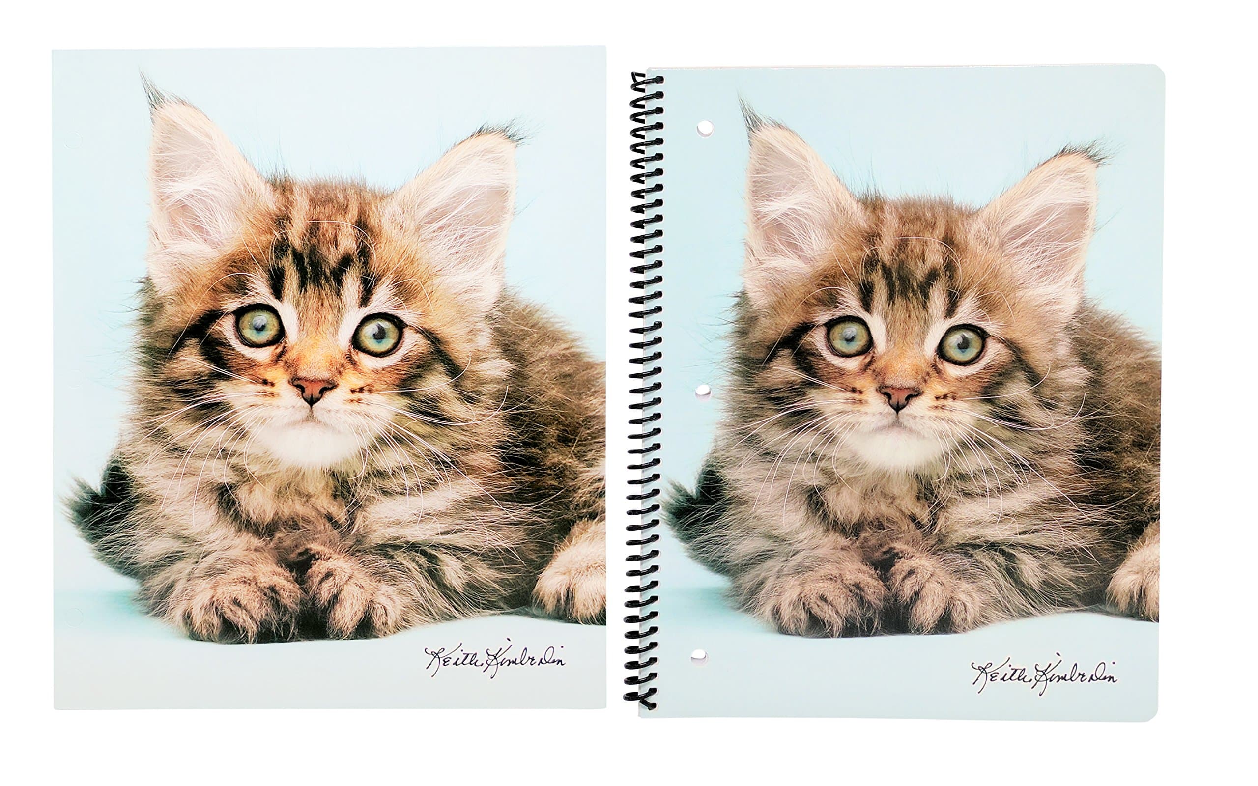 Cute Puppy or Kitten Back To School Set – Pocket Folder and Spiral Notebook (Fluffy Kitten)