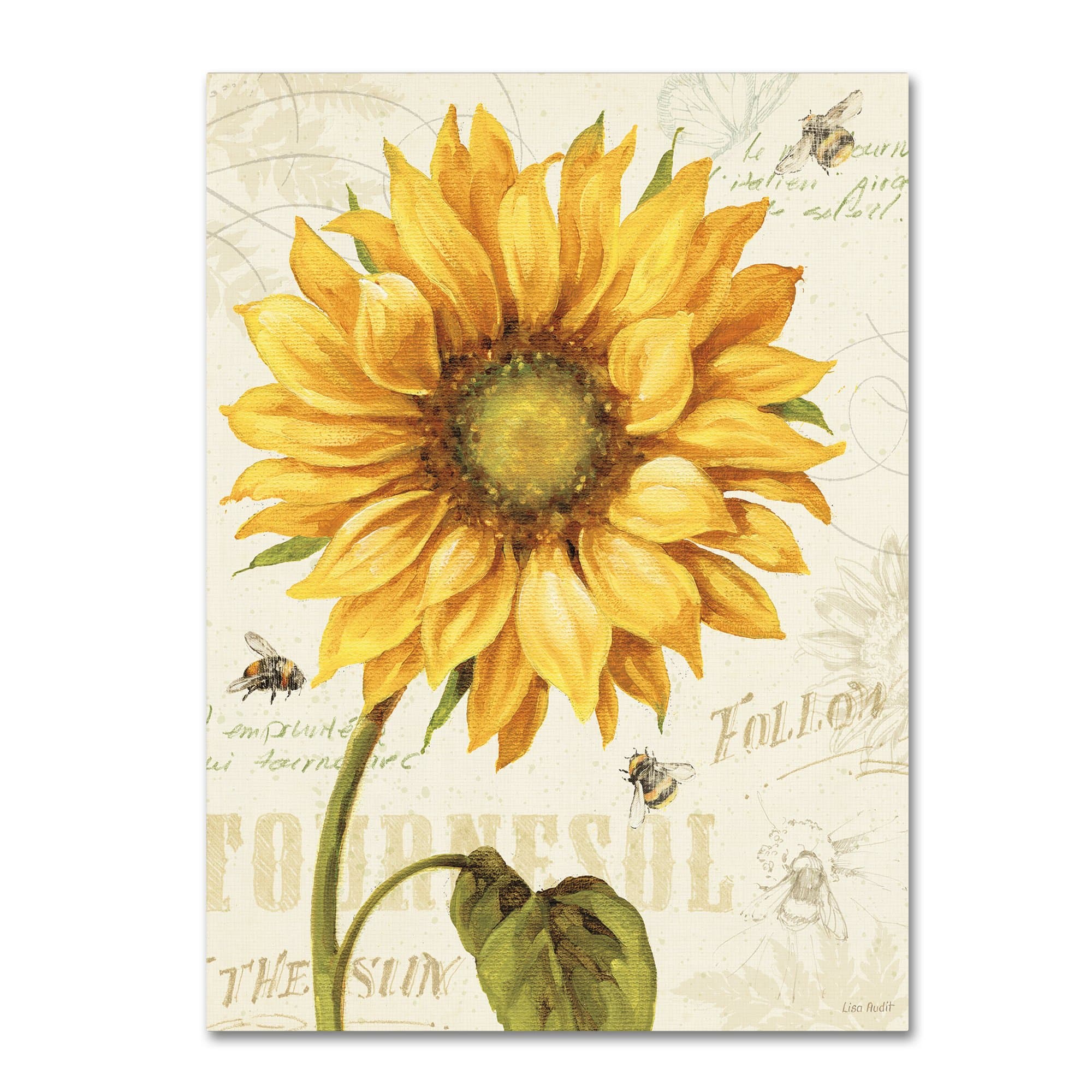 Under the Sun I Wall Decor by Lisa Audit, 18" x 24" Canvas Wall Art