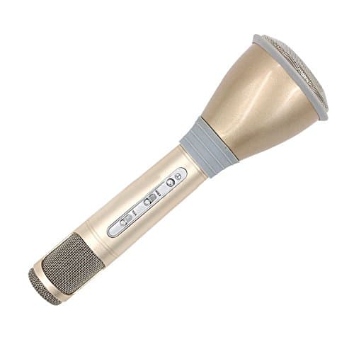 BEISTA Portable Microphone Speaker Bluetooth Player Wireless Karaoke Mic for Apple Android Phone Tablet Computer(Gold)