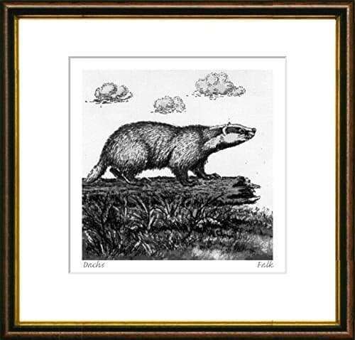 Single-colored etching Dachs by Falk in a brown-gold frame behind a passe-partout, graphics, art design, art print
