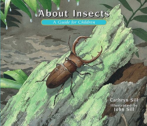 About Insects: A Guide for Children: 4 (About..., 4)