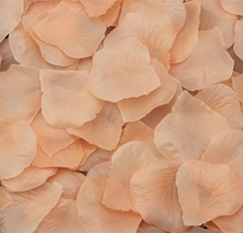 123zero Artificial Silk Rose Flower Petals (2000 Pcs) for Party and Weeding Bridal Decoration (Champagne)