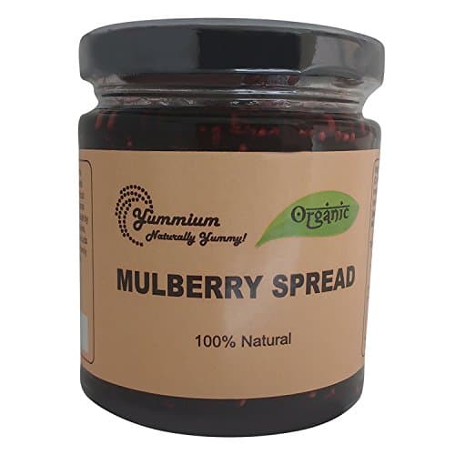 Yummium Mulberry Flavor Spreads