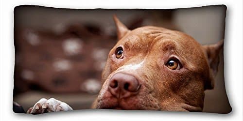 Elroy Carpenter Animals Dog Eyes Pitbull Muzzle Throw Pillow Case Cushion Covers 20X36 Inch
