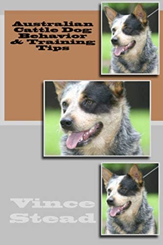 Australian Cattle Dog Behavior & Training Tips Paperback – September 16, 2015