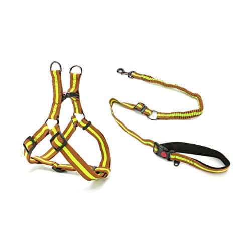 DoggieKit Pull-Proof Dog Leash & No-Choke Harness Combination Set, Thick Nylon Ribbon Walking Safety Combo for Small, Medium & Large Dogs (S, Green on Brown)