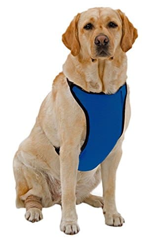 Kumfy Tailz Warming/Cooling Dog Harness, Adjustable Neck