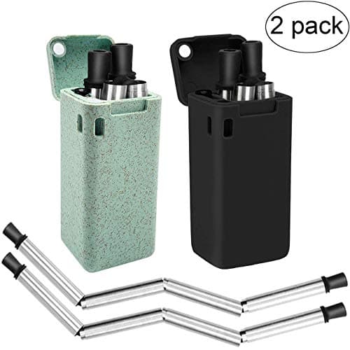 Senfhome 2-Pack Collapsible Straws, Stainless Steel Reusable Foldable Drinking Straws | Keychains and Portable Case Included | Upgraded Cleaning Brush (Straw green/Black)