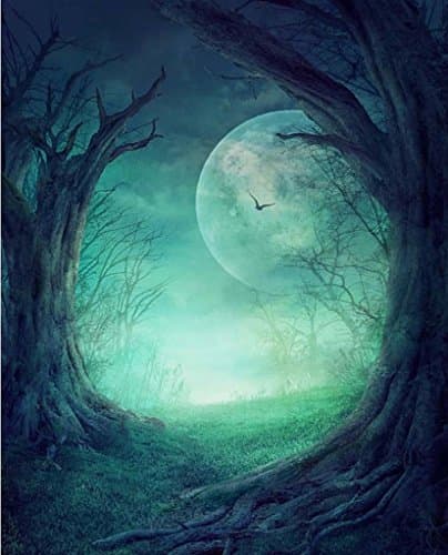 6.5 Ft x 5 Ft Halloween Night Moon Bat Tree Root Jungle Photo Backdrop Vinyl Cutomize Size Video Studio Photography Background 2M x 1.5M BGHA-234