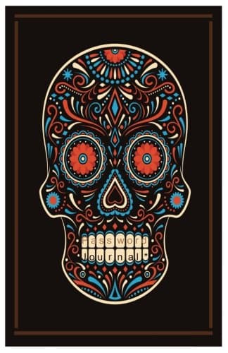 Password Journal: An internet password organizer (The smart skull)