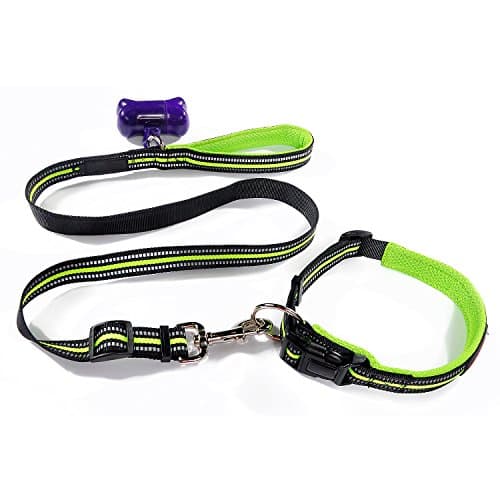MYOLDSX Green Adjustable Reflective Dog Leash Collar Set for Medium and Large Dogs Daily Training Walking Running, Free Waste Bag Dispenser & bag