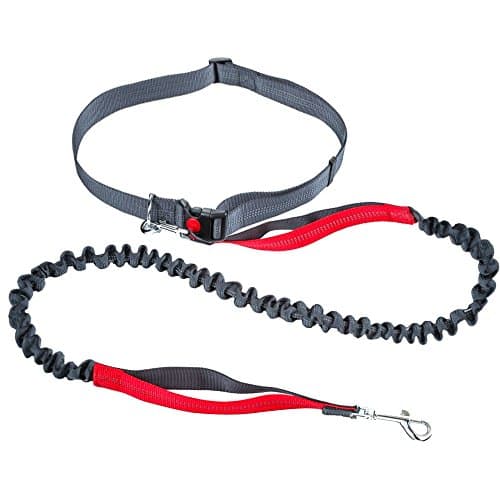 Petender Hands Free Dog Leash Durable Double Dual Handle Retractable Reflective Bungee Leash for Dogs (Fits up to 49" waist)