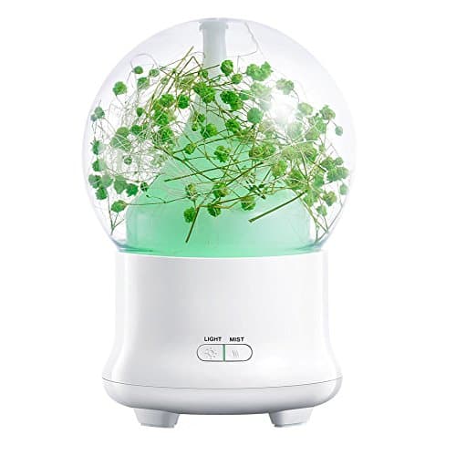 Bixshell Essential Diffuser, 100ml Aroma Essential Cool Mist Humidifier with Adjustable Mist Mode, Waterless Auto Shut-off and Eternal Flower LED Lights Changing for Home Office Baby (LightGreen)