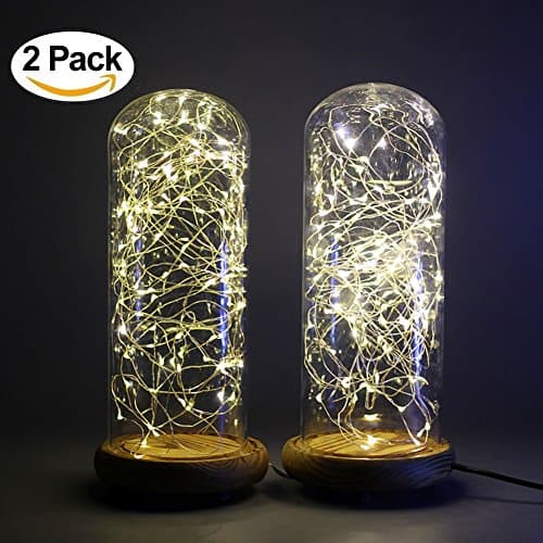 Led String Fairy Lights,2 Sets/Pack 16.4ft/5M 50 Leds ADAINA Silver Wire Rope Lights 3AA Battery Operated For Wedding Decoration, Christmas, Garland ,Home Dinner ,Party (Warm White)