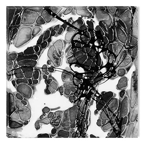 Inspirational Art Black and White Stone Pattern Canvas Wall Art Abstract Picture Eco Light Framed Ready to Hang Artwork for Home Decoration