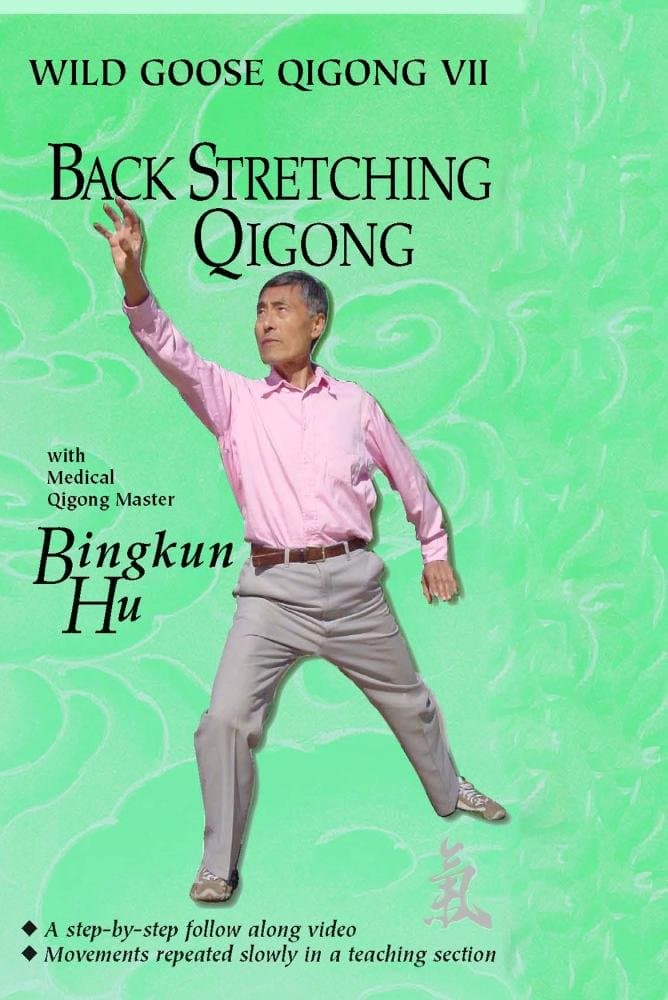 Wild Goose VII - Back Stretching Qigong