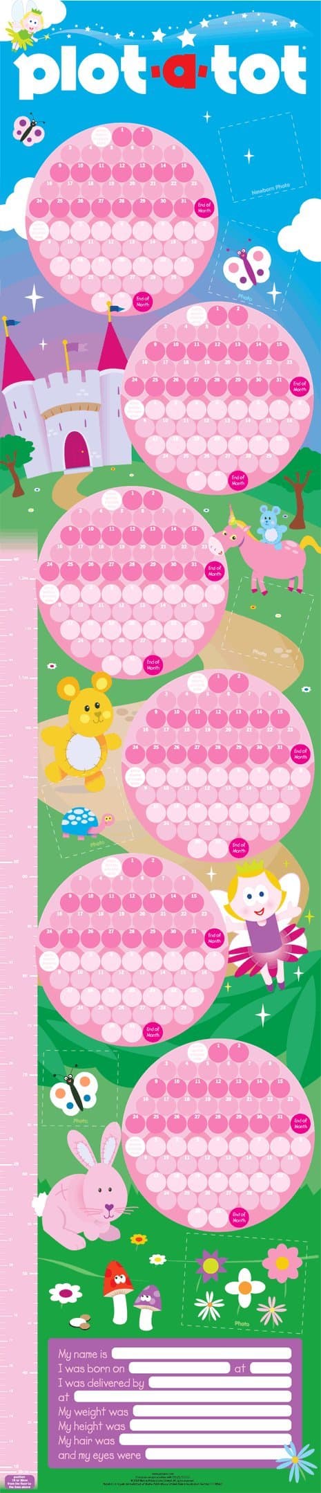 Plot a tot Fairytale Theme My First Calendar Record Your Baby's First Year