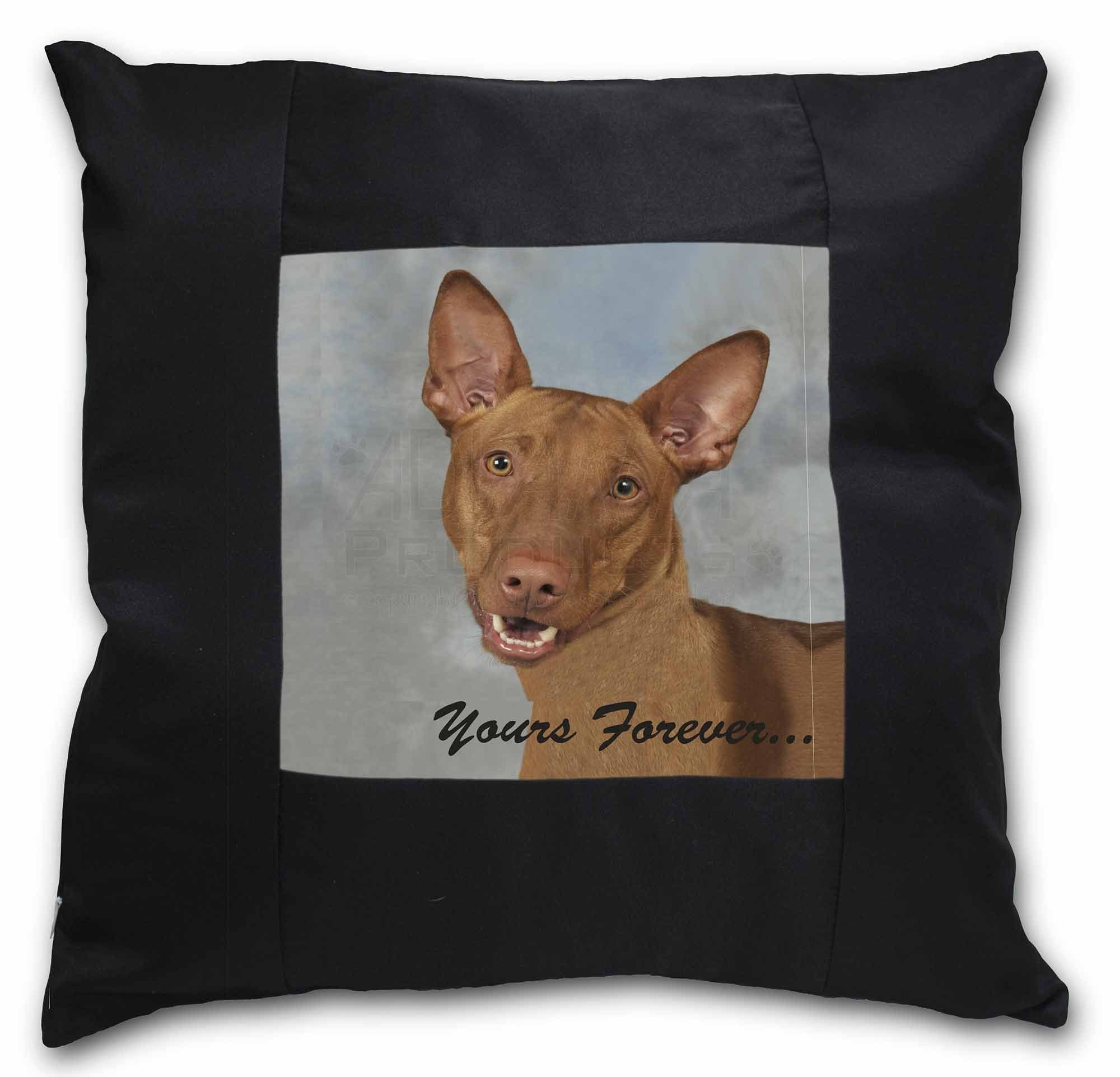 Advanta Group Pharaoh Hound 'Yours Forever' Black Border Satin Feel Cushion Cover With Pillow