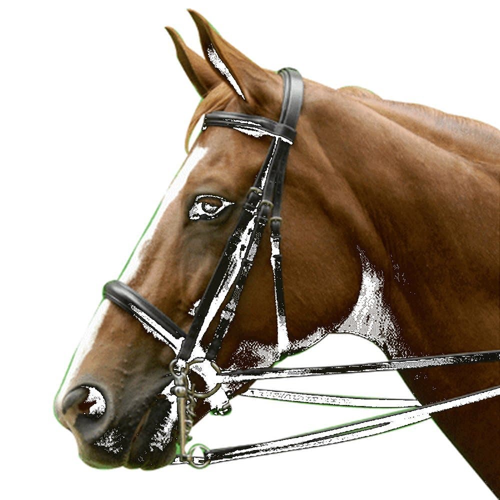 Exselle Dressage Bridle