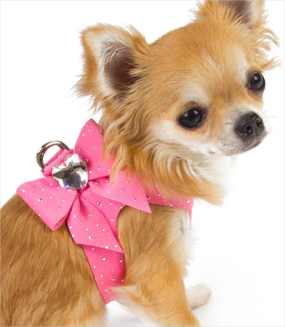 Stardust TAIL-BOW Harness