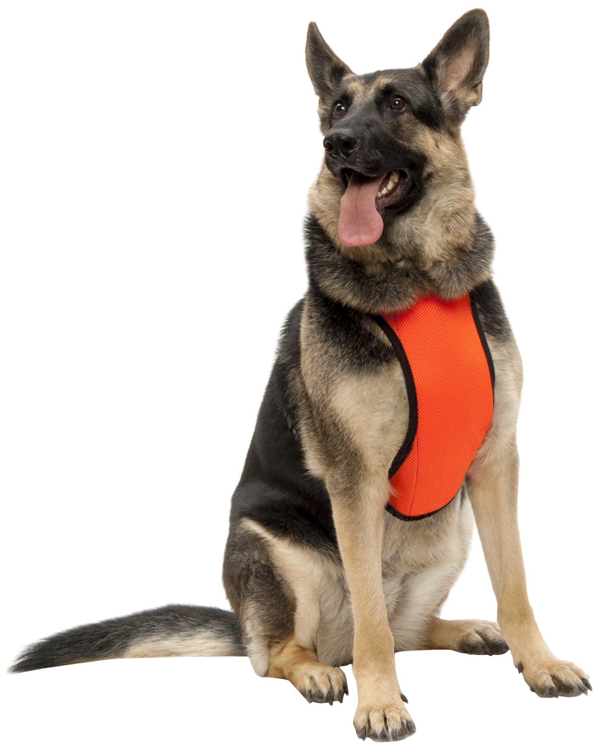 KT Fit Cooling/Warming Sport Harness for Active Dog, Medium, Orange
