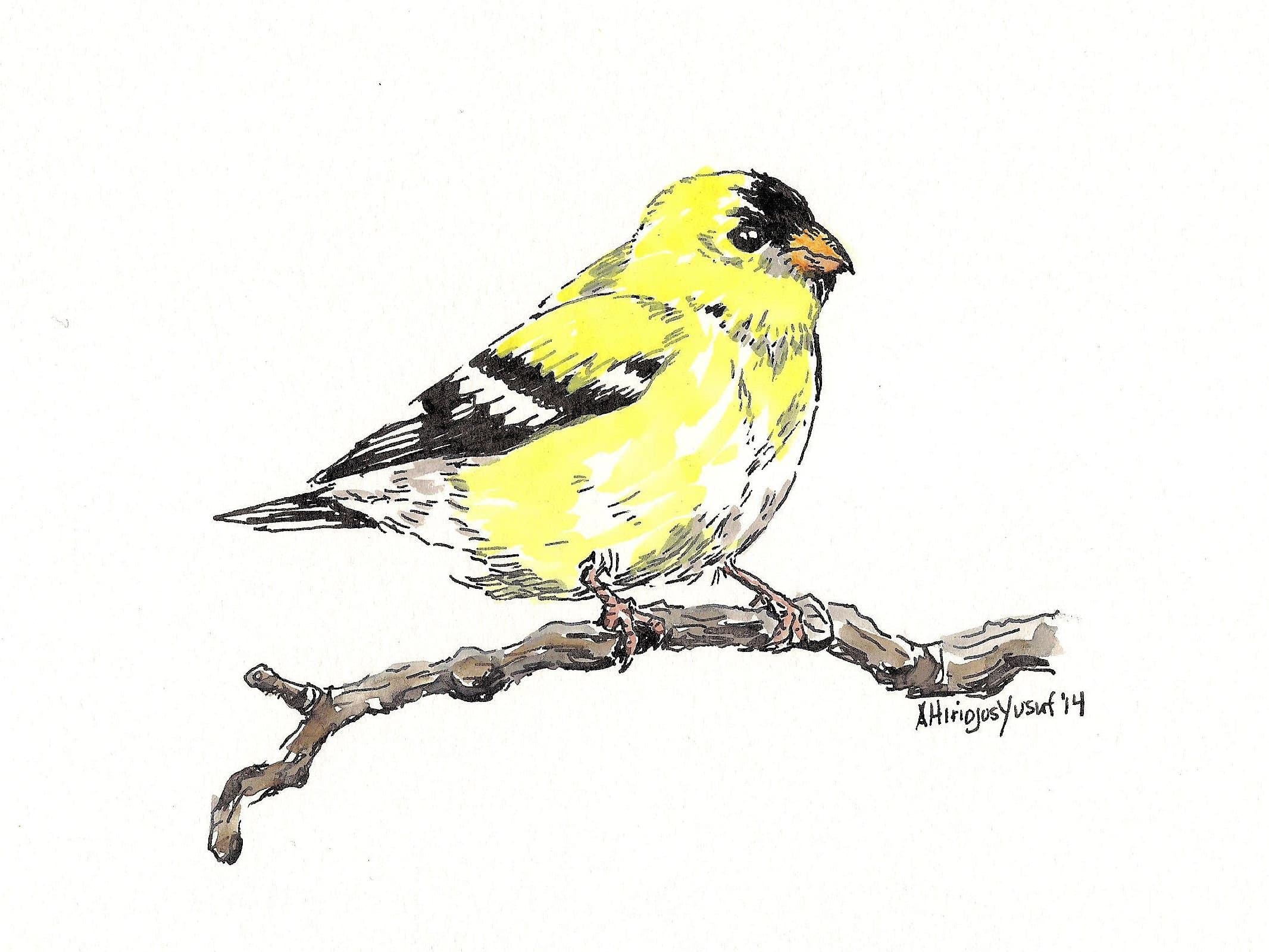 "Goldfinch" Watercolor Print