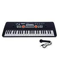 HOMME STORE World Piano Keyboard 49 Keys- Multi-Function Portable Piano Keyboard Electronic Organ with Charging Function for Beginners- Chargeable