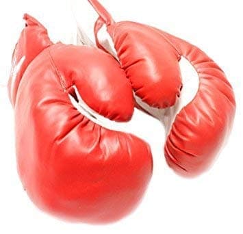 Foam Based Prime-Training Boxing Gloves (4 to 12 Oz, Assorted Colour)
