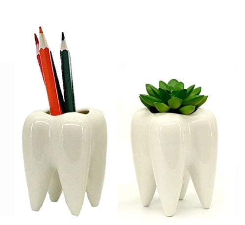 Koreyoshi 2 Pcs Teeth Pots White Ceramic Succulent Planter Pots/Mini Flower Plant Containers Cute Animal Shaped Cartoon Planter Pots Plant Window Boxes (Style 2)
