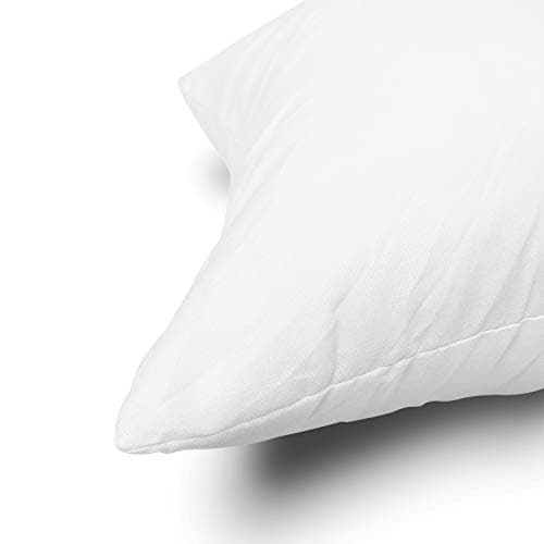 Edow Throw Pillow Inserts, Set of 2 Lightweight Down Alternative Polyester Pillow, Couch Cushion, Sham Stuffer, Machine Washable. (White, 18x18)