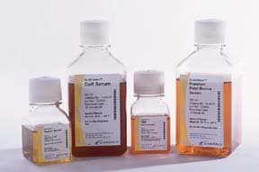Fetal Bovine Serum 100mL (100 mL.)