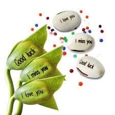 RVM Store Magic Seeds Message Beans - Great Gift for Anniversary or Birthday (3)