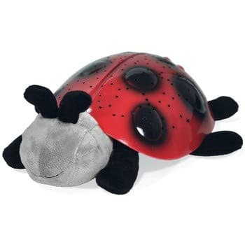 Sleepy Time Lady Bug