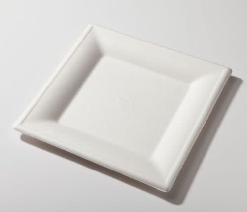 10" Biodegradable Square Plate Sugarcane (Pack of 300)