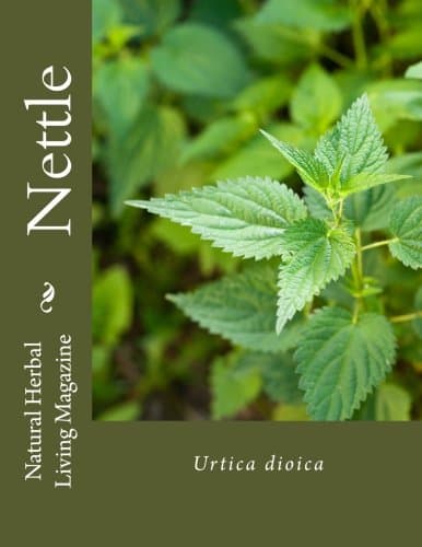 CREATESPACE Nettle - Urtica dioica