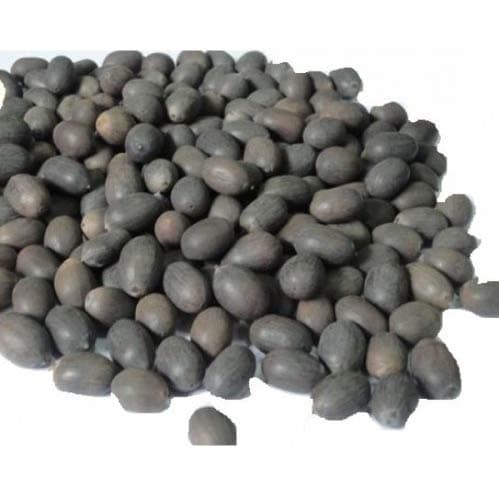 Hybrid Kamal Kakdi Seed