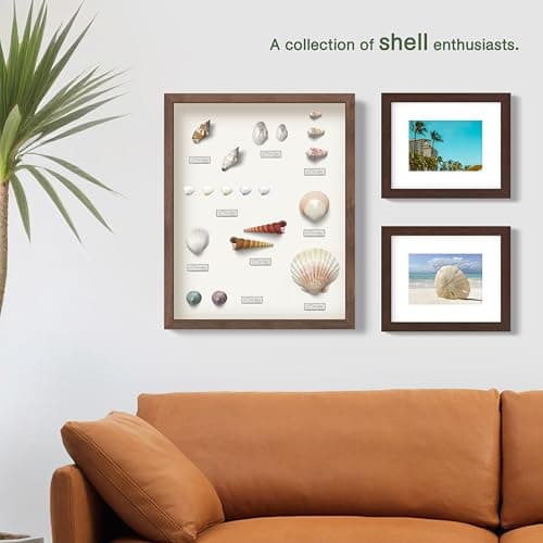 FrameWorks 12” x 16” Natural Oak Wooden Shadow Box Frame – Display Case with Soft Felt Back, Memory Box with Tempered Glass, Display Box with Elegant White Ball Push Pins, Wooden Flower Box