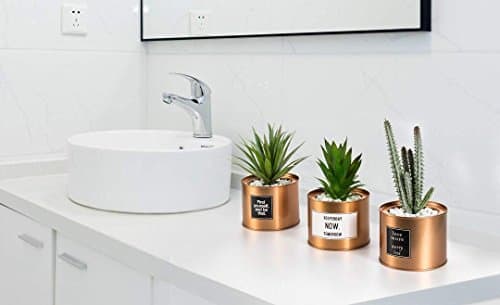 Opps Mini Artificial Plants Plastic Green Grass Cactus with Special Golden Can Pot Design for Home Décor – Set of 3